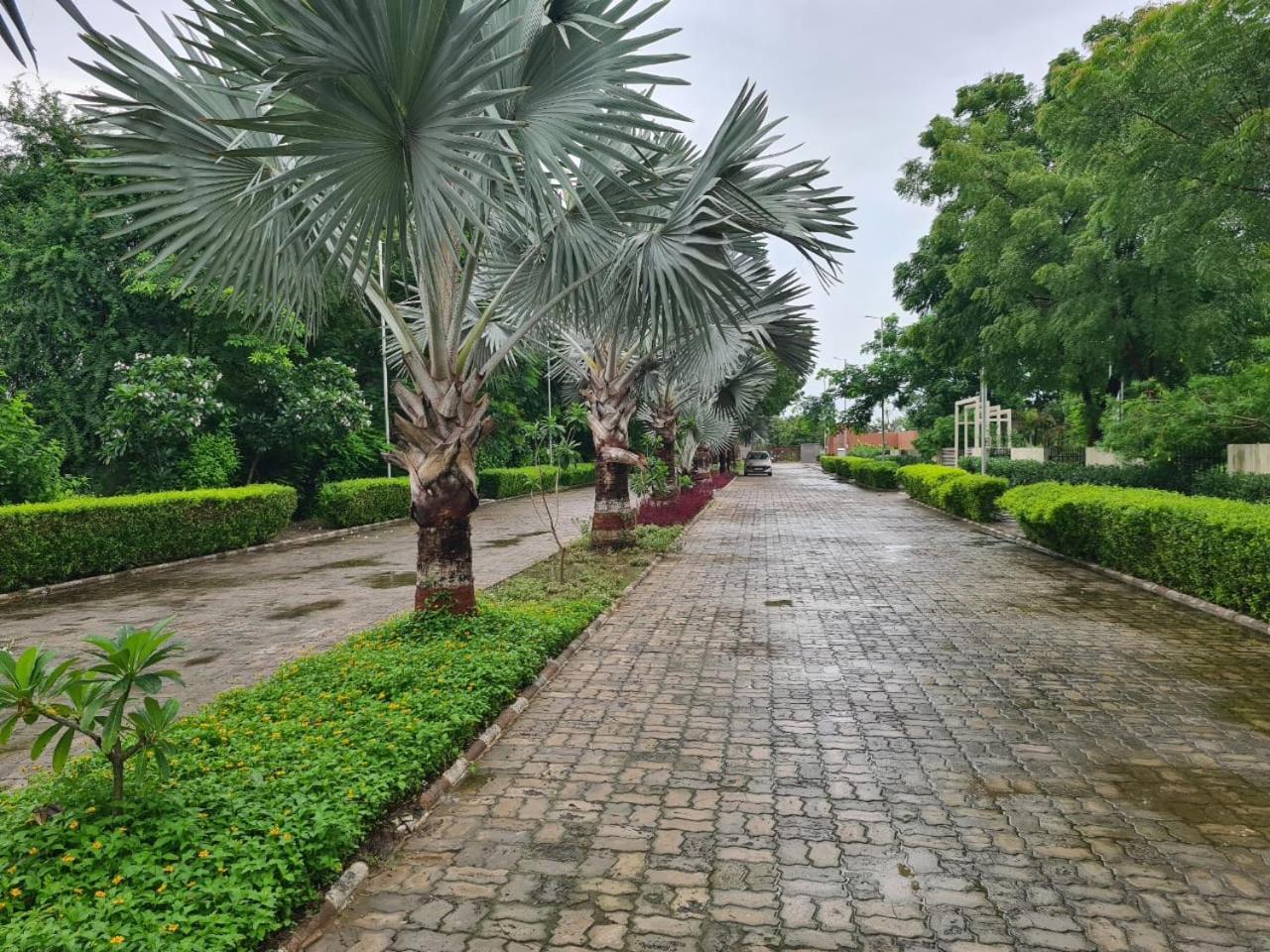 Club Azzurro Resort - Nalsarovar Nānodra 외부 사진